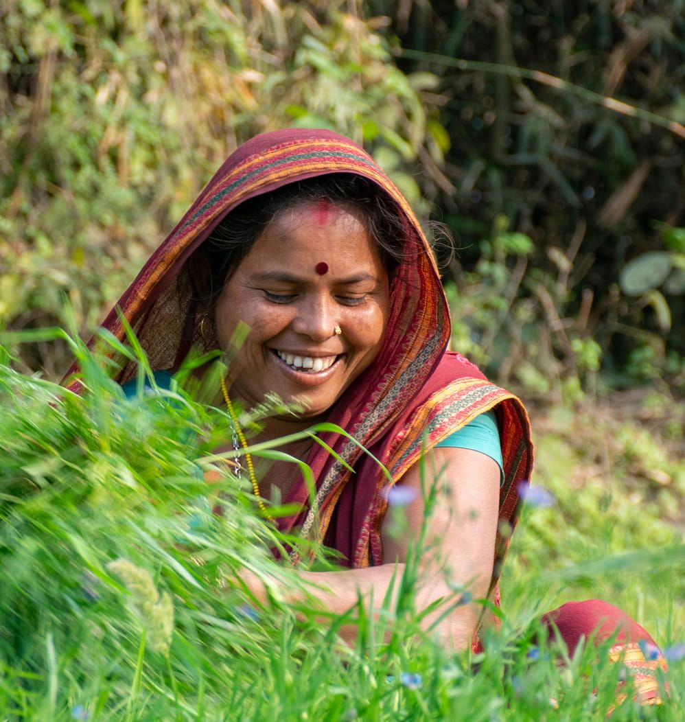 Orange Bond Principles