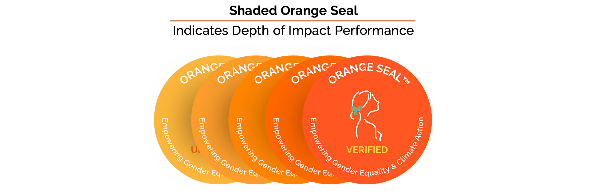 orange-seal-shades.png