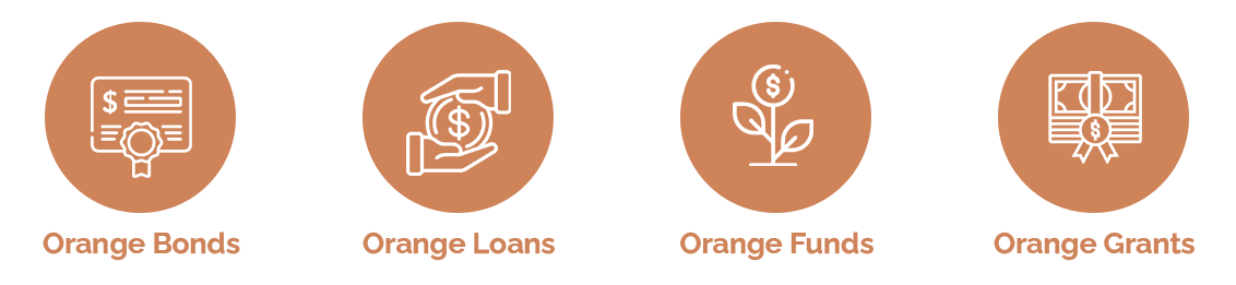 types-of-orange-capital_new-color.png